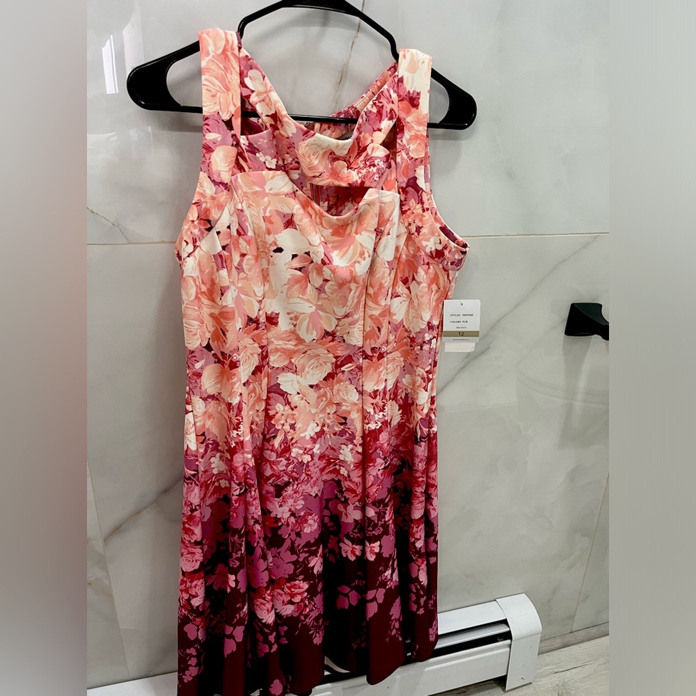Danny and Nicole Brand New Pink Ombré Dresss